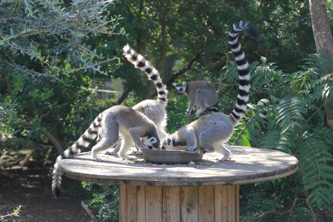 Lloc de Menorca Animal Park: Wildlife & Nature Experience