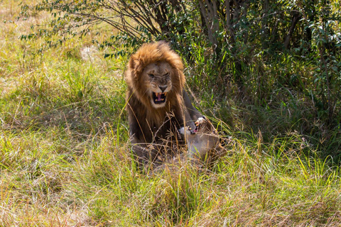 3 days masai mara safari