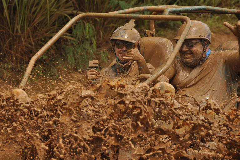 Bayahibe: Buggy and Horseback Riding Tour