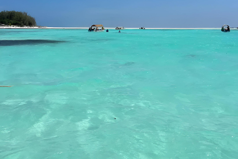 dolfijnentour op mnemba eiland