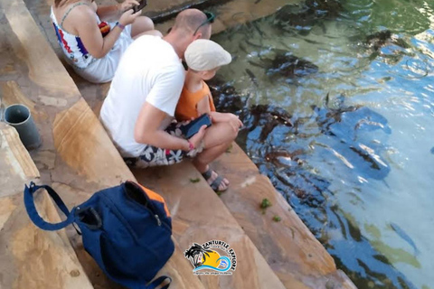 Nungwi: Swimming with Turtles at The Lagoons Zanzibar Hotel Transfers within Nungwi and Kendwa