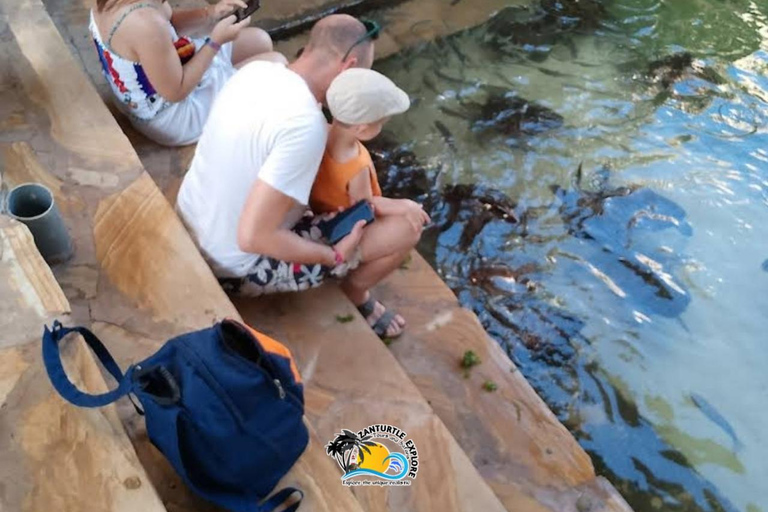 Nungwi: Swimming with Turtles at The Lagoons Zanzibar Hotel Transfers within Nungwi and Kendwa