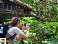 3-Day Gorilla trekking Experience at Bwindi Forest - Housity