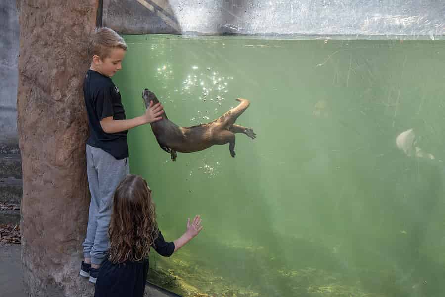 Newport News: Tagesticket für das Virginia Living Museum. Foto: GetYourGuide Newport News: Tagesticket für das Virginia Living Museum. Foto: GetYourGuide