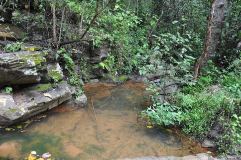 Hiking in Benito Juárez National Park