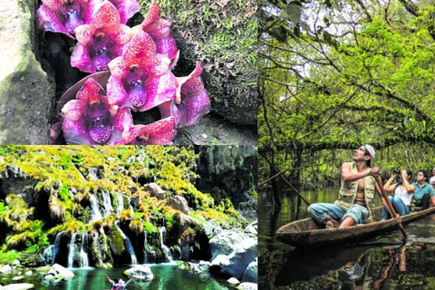 Iquitos: 6-Day Amazon Jungle Tour with Meals and Lodging