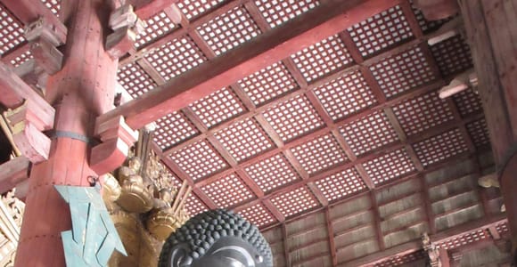 NARA: Budda gigante, Cervi liberi nel parco (Guida italiana)