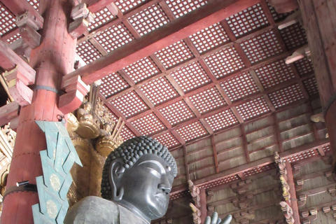 Nara: Budda gigante, cervi liberi nel parco (guida italiana)