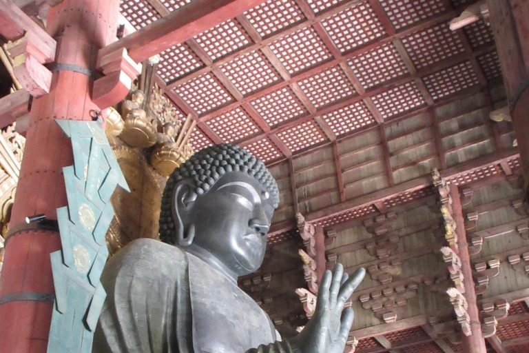 Nara : Budda gigante, cervi liberi nel parco (guida italiana)