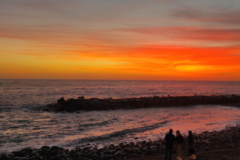Madeira: Excursão de 1 dia em 4x4 com serviço de busca no hotel