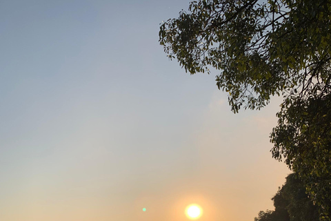 Victoria Falls: Geführte Tour mit Transport