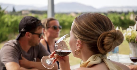 Alcúdia/Can Picafort: Geführte Besichtigung der Weinberge und Weinprobe