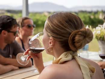 Alcúdia/Can Picafort: Zwiedzanie winnicy z przewodnikiem i degustacja wina