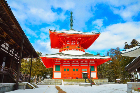 Eén dag privétour op maat met zelfleiding in Wakayama