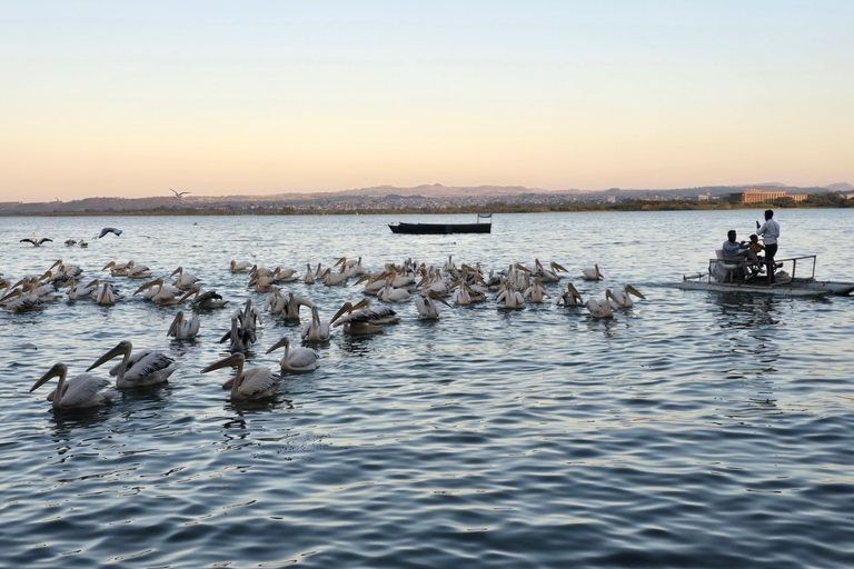 9 Days Ethiopia's Historical Sites and Djibouti Exploration