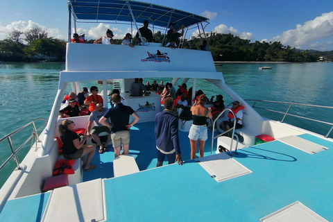 Whale Watching &amp; Safari Tour to Montaña Redonda