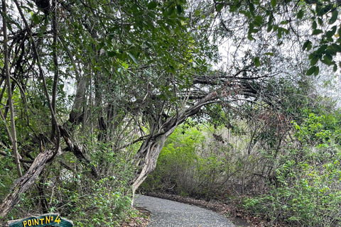 Zimbabwe & Zambia: Victoria Falls Tour with Guide and Lunch