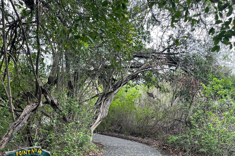 Zimbabwe & Zambia: Victoria Falls Tour with Guide and Lunch