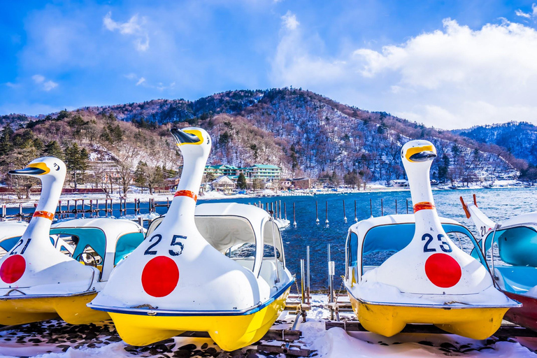 Excursion d&#039;une journée dans la ville de Nikko en voiture privée ou en van