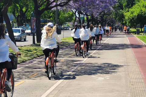Bike + Boat Tour: Buenos Aires in a Day, North and South Bike + Navigation Tour: Buenos Aires is a day to the North and South (E-bike)