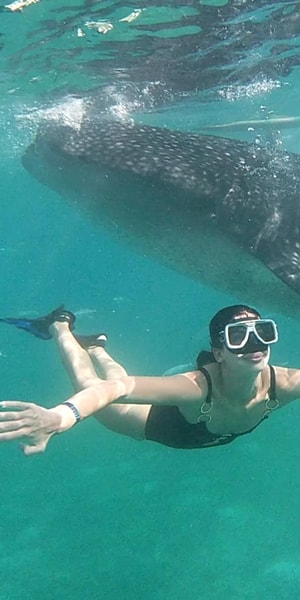 Mushukning nozik fotosurati