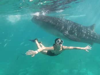 Oslob: Whale Shark Tour with Sumilon & Moalboal Snorkeling