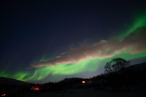 Tromsø: Northern Lights Tour with Local guide &amp; Local Food