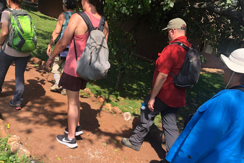 Kampala/Entebbe: Ngamba Island Chimps Sanctuary Tour