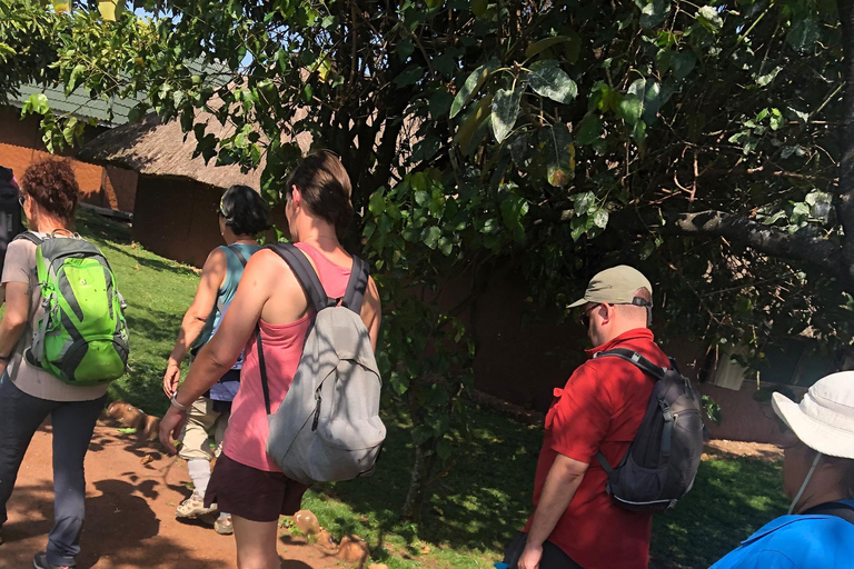 Kampala/Entebbe: Ngamba Island Chimps Sanctuary Tour