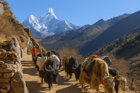 Exclusive EBC Experience — Calm, Local-Centric, Small Group