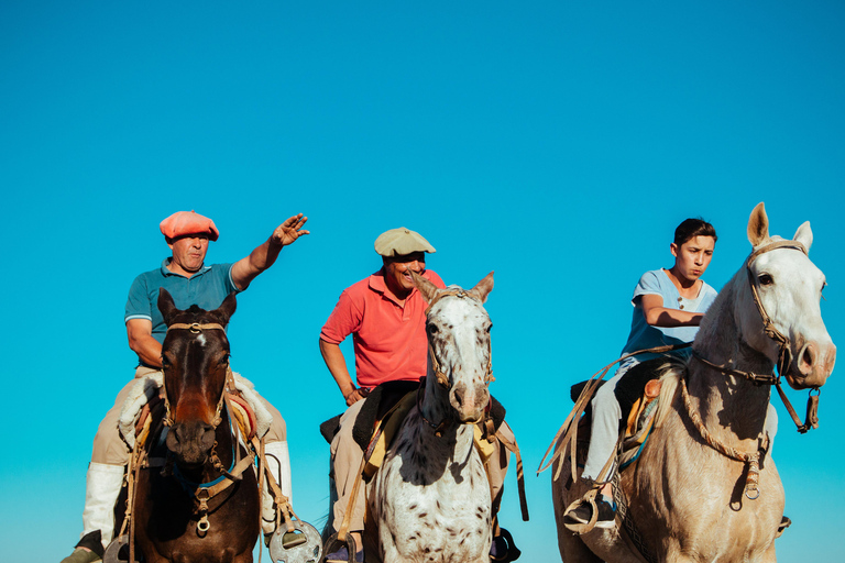 Mykonos: Horseback Riding To Fokos Beach & Farmland