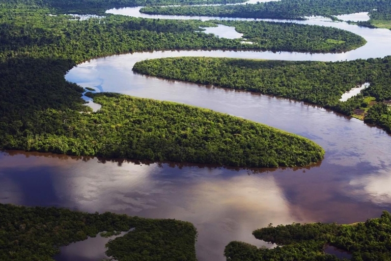 Vanuit Iquitos: 4 dagen/3 nachten in lodge in het Amazonegebied met maaltijden