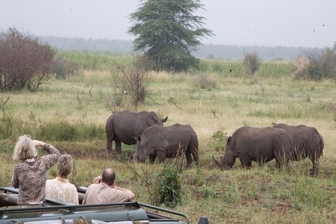 Kenya: 6-Day Rhino Conservation Safari