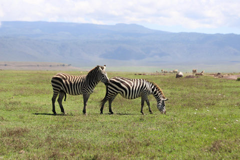 Tanzania: 7-dniowa migracja antylop gnu Serengeti (lipiec-październik)