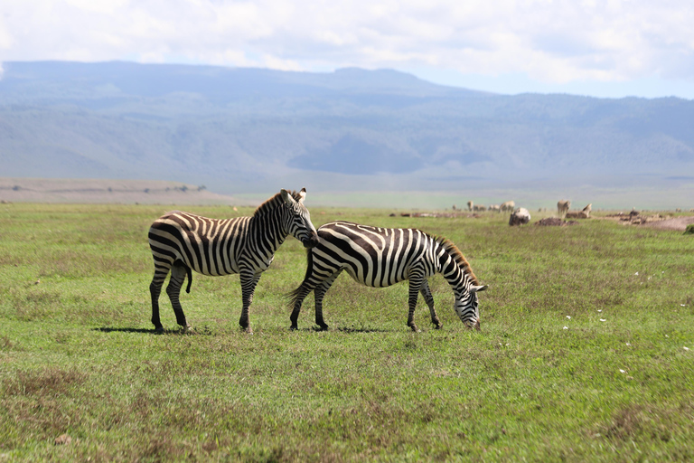 Tanzania: 7-dniowa migracja antylop gnu Serengeti (lipiec-październik)