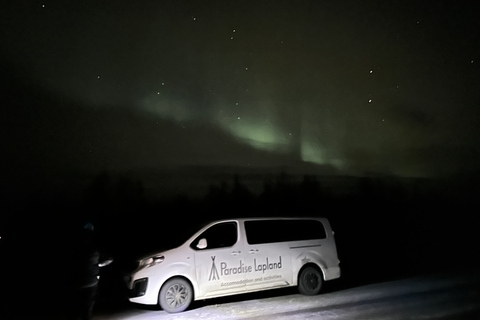 Excursion en minibus dans le parc national d'Abisko pour observer l'aurore boréale