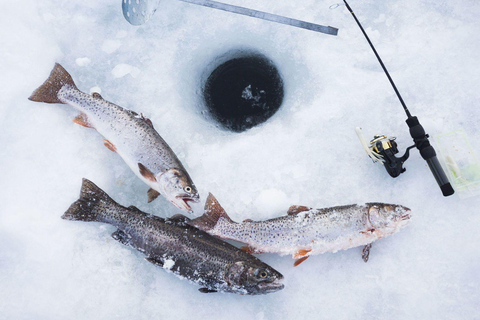 Aventure de pêche sur glace à Levi avec soupe au saumon