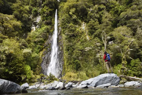 Franz Josef: Guided 1 Way Tour to Wanaka with Lunch