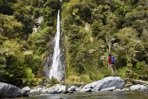 Franz Josef: Guidet 1 vejs tur til Wanaka med frokost
