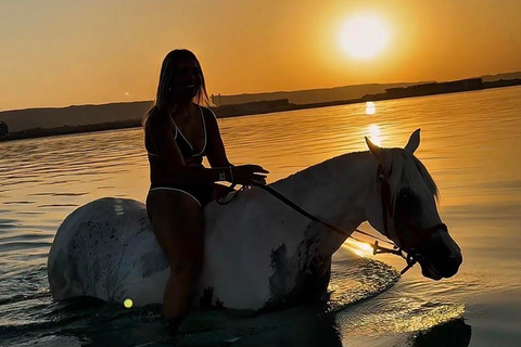 Hurghada: Swimming & Horse riding with FREE Photos & Videos 2-Hour Horse Swimming & Photos with Transfer