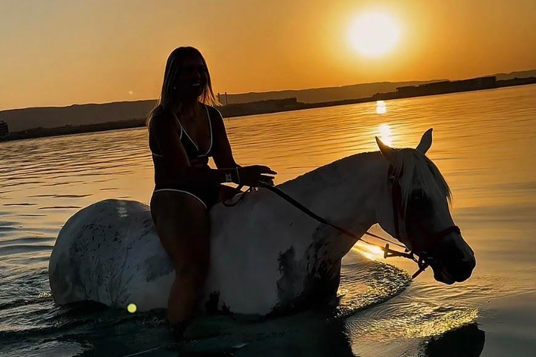 Hurghada: Swimming & Horse riding with FREE Photos & Videos 2-Hour Horse Swimming & Photos with Transfer