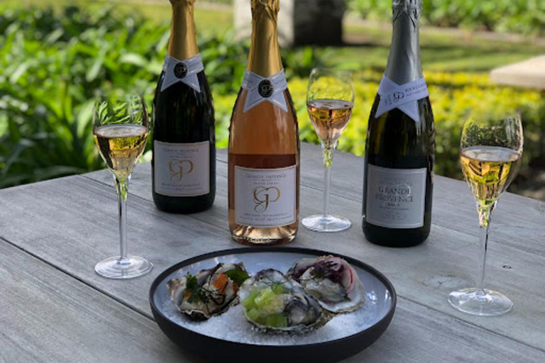 Kapsztad: prywatna wycieczka po winnicach z degustacją i lunchem