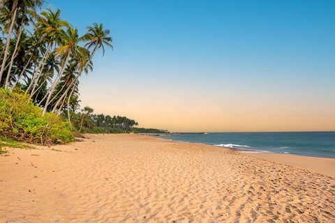 Colombo to: Negombo Beach, Lagoon & Hamilton Canal Tour