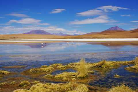 La Paz: Uyuni zoutvlakte en Incahuasi eiland |5 dagen met de bus