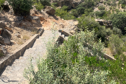 Au départ de Mascate : journée complète à Nizwa Souq, Nizwa Fort et Jabel Akhdar