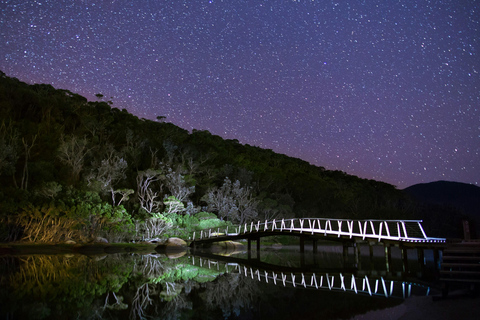 Sydney Coastal Highlights and Ferry Ride Half Day Tour