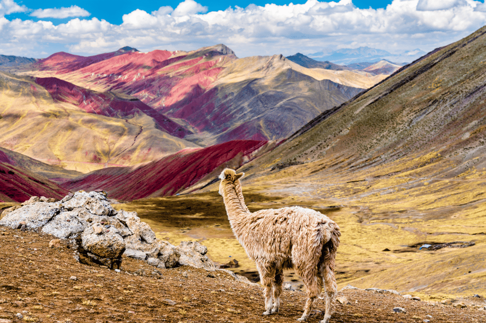 Palccoyo Rainbow Mountain Tour GetYourGuide