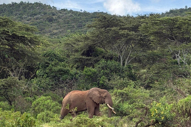 Nairobi: 3-Day epic trip to Maasai Mara Reserve with meals 3 days, 2 nights private safari to Mara in a tourist VAN