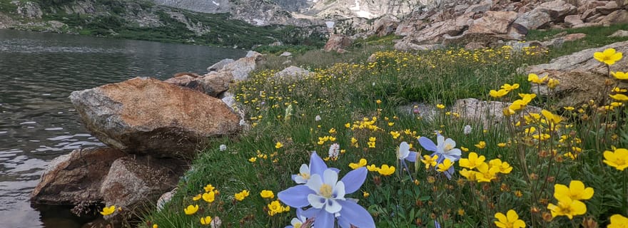 Denver : visite privée de la faune du parc national des Rocheuses