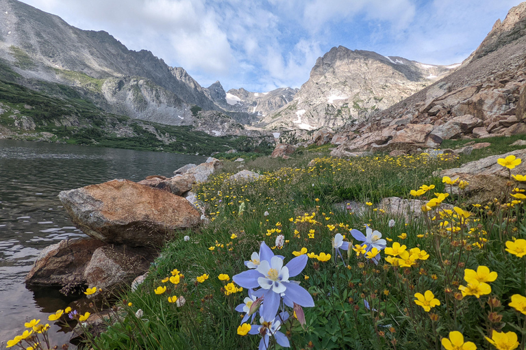 Denver: Visita à vida selvagem no Parque Nacional das Montanhas RochosasExcursão de meio dia